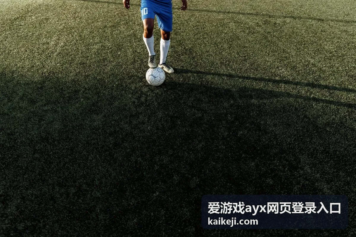 爱游戏ayx网页登录入口登录前的准备事项说明