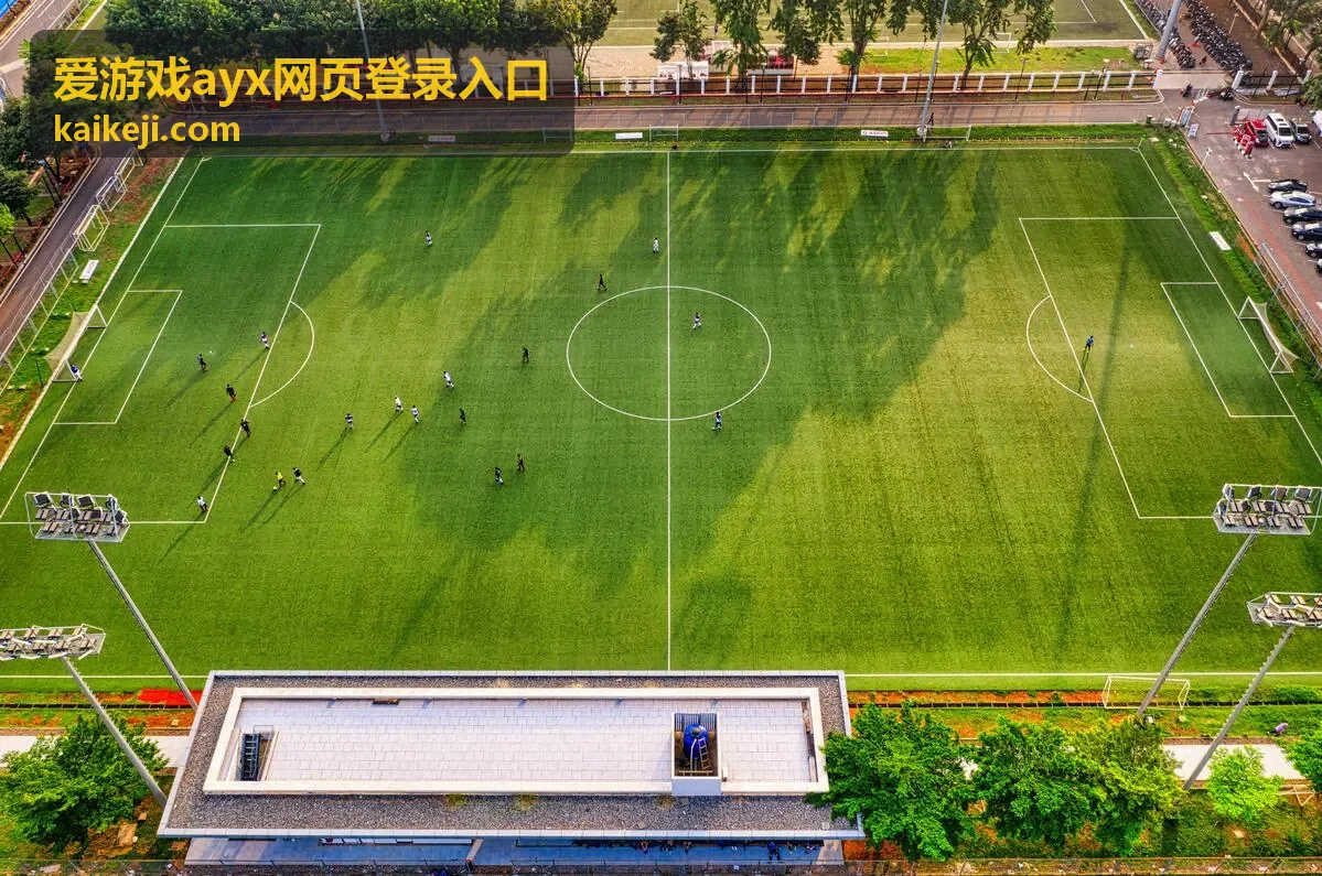 爱游戏ayx网页登录入口常见提示与处理方向