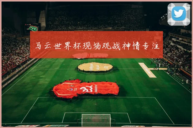 马云世界杯现场观战神情专注