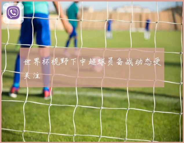 世界杯视野下中超球员备战动态受关注